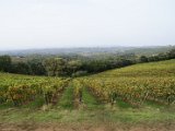 Chianti-2 2016 - 049.jpg